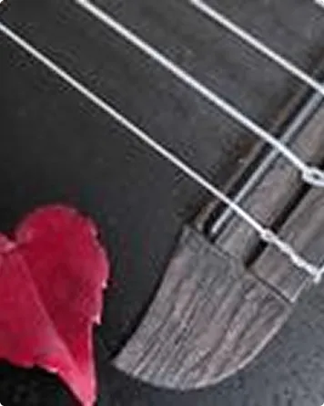 Das Leben erklingen lassen3